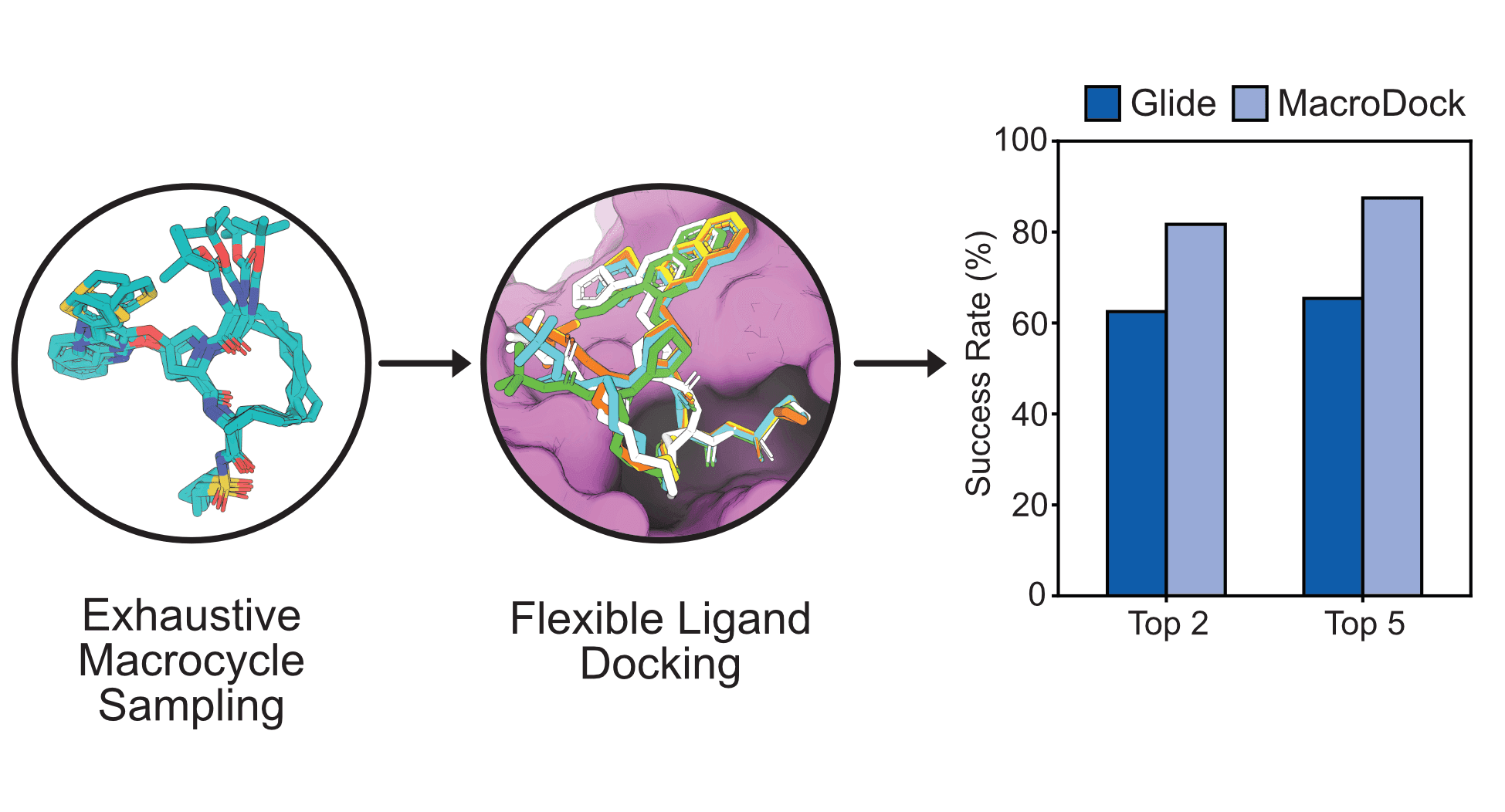 MacroDock graphical abstract